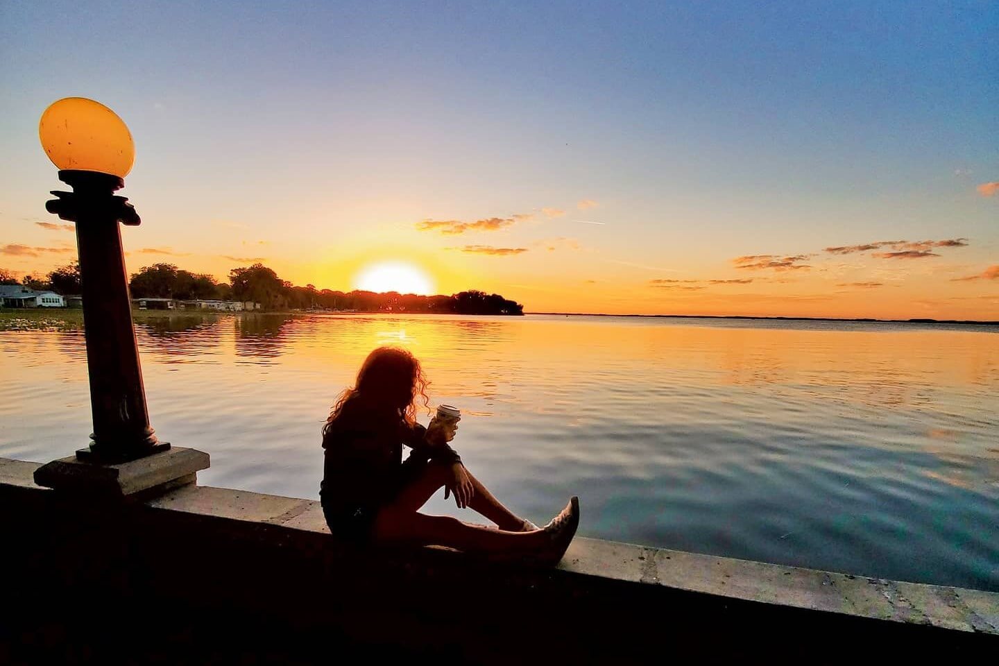 Lake Eustis shoreline